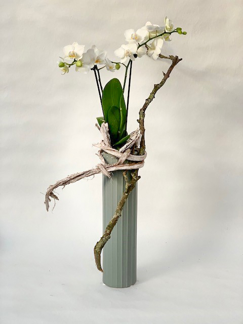 Groene vaas met wilde phalaenopsis by Ludo Annaert | Florale Vormgeving