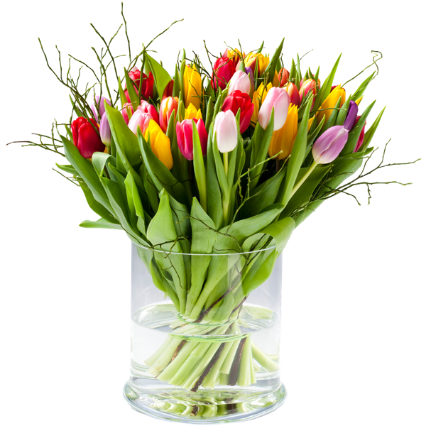 Multi Tulip by Ludo Annaert | Florale Vormgeving